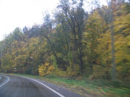 Verregneter Herbsttag (100_0370.JPG) wird geladen. Eindrucksvolle Fotos aus Lettland erwarten Sie.